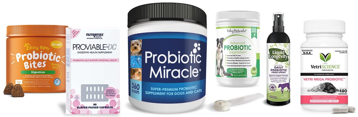 probiotic for dogs products